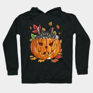 Curious cat Hoodie